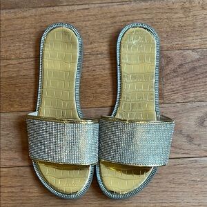Elegant Silver Slide Sandals